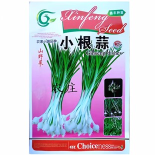 小根蒜种子野菜种籽野生薤白野小蒜山蒜葱籽种蔬菜种东北大脑瓜孑