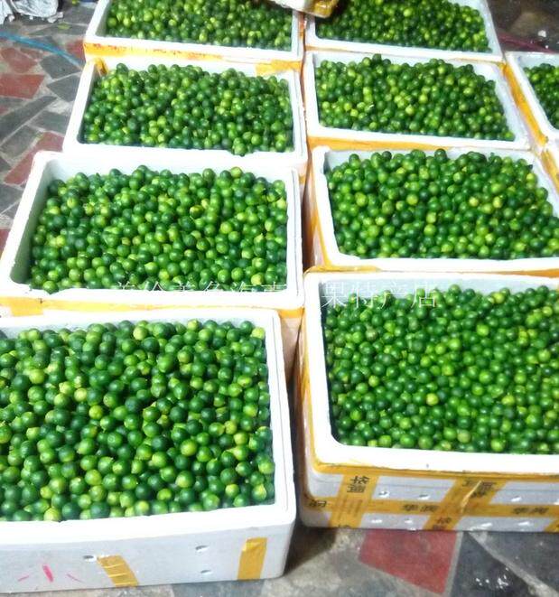 海南青金桔新鲜小青柠金橘 奶茶店 大中小自选 1斤起发满10斤免邮属于什么档次？