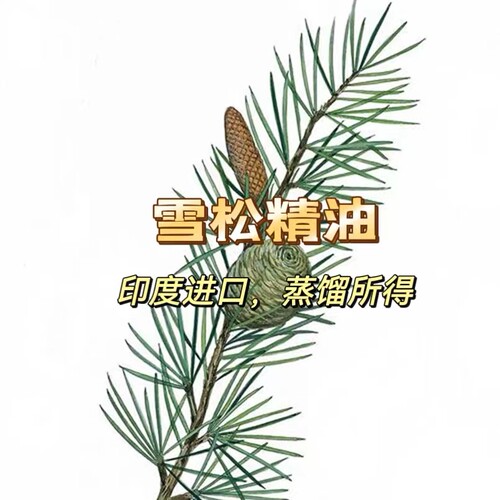 印度进口雪松精油 蒸馏提取 单方 芳疗原材料精油 流动性好