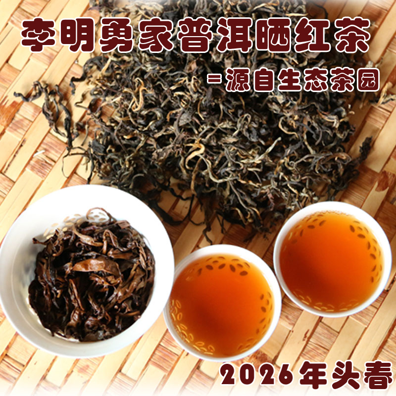 2026年头春云南滇红茶大叶种乔木古树普洱晒红茶散装250克