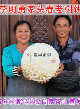 李明勇家云南头春古树茶叶普洱茶