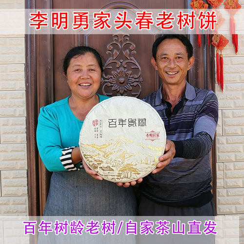 李明勇家云南头春古树茶叶普洱茶