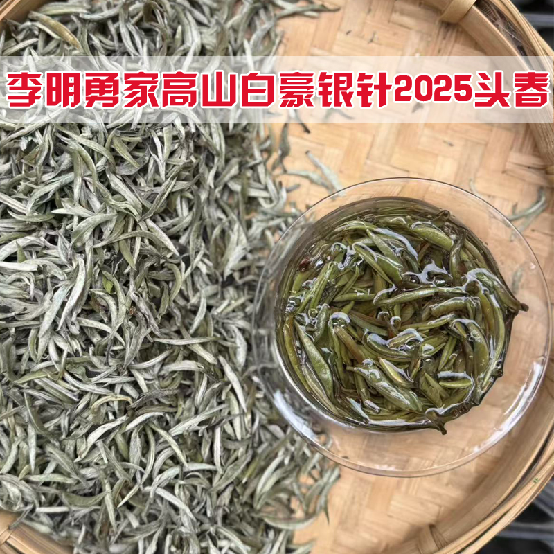 2025头春普洱月光白生茶纯单芽尖茶白毫银针头春美人茶散茶500克