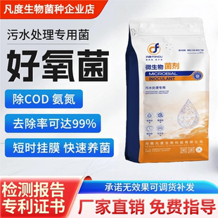 污水处理菌种耐低温好氧菌厌氧菌降解氨氮COD降解菌剂生物营养剂