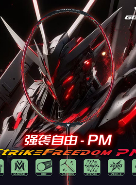 GGEM聚将 强袭-PM 全新升级高端羽毛球拍