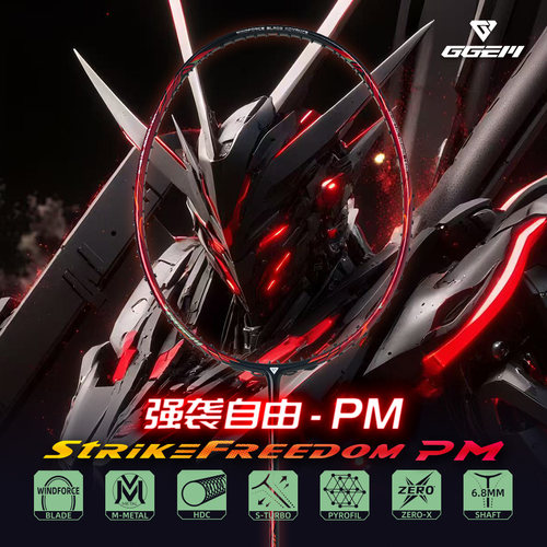 聚将全碳纤维进阶羽毛球拍全能型