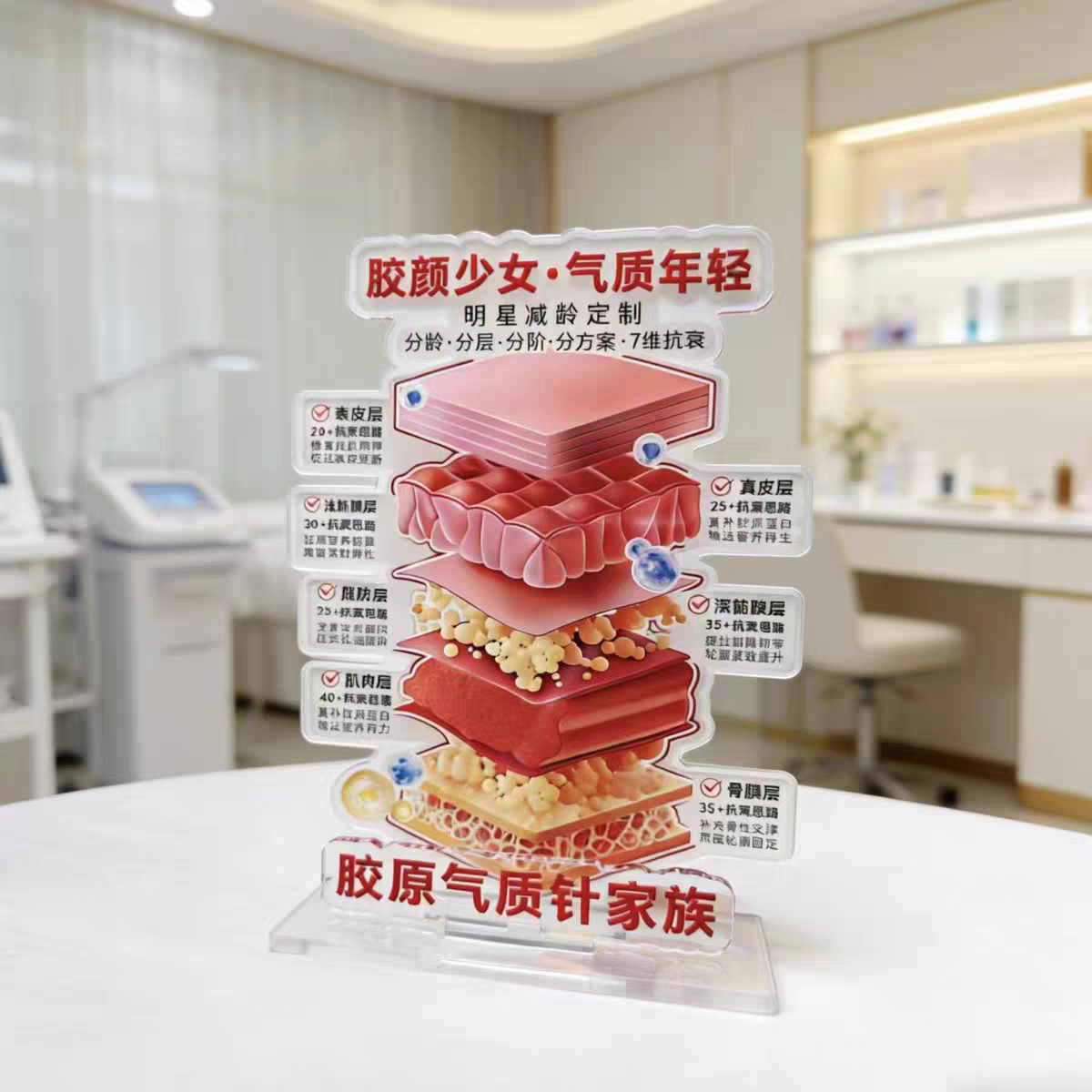 美容分层抗衰肌肤结构亚克力医学皮肤解剖知识讲解繁体毛囊头发皮