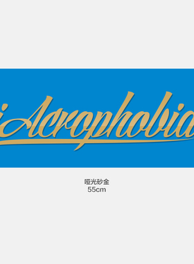 iAcro官方 大号LOGO汽车前挡风贴纸改装车拉花车身装饰贴画