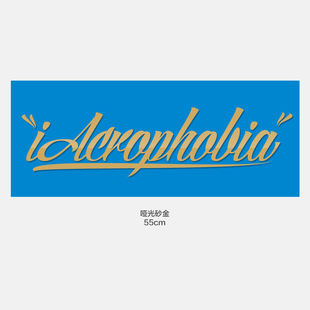 车拉花车身装 饰贴画 大号LOGO汽车前挡风贴纸改装 iAcro官方