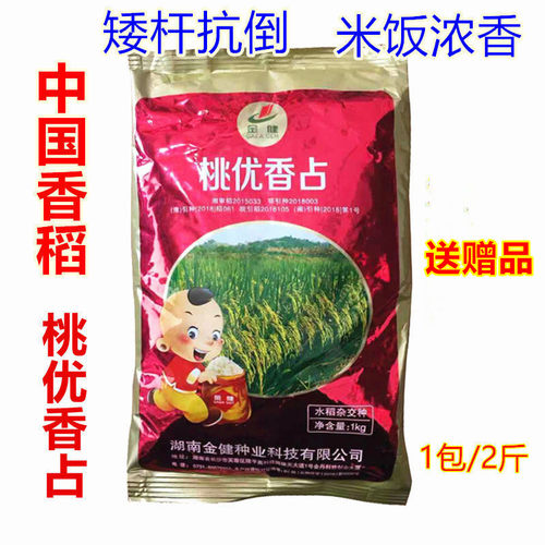 桃优香占矮杆杂交稻谷种子