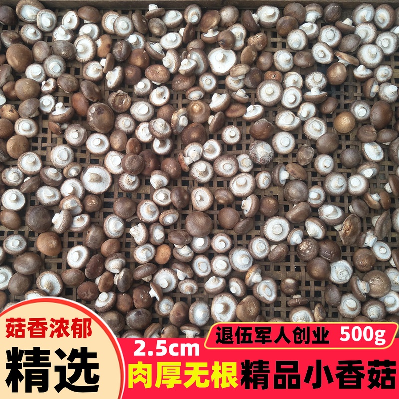 小香菇干货500g特级小蘑菇干香茹