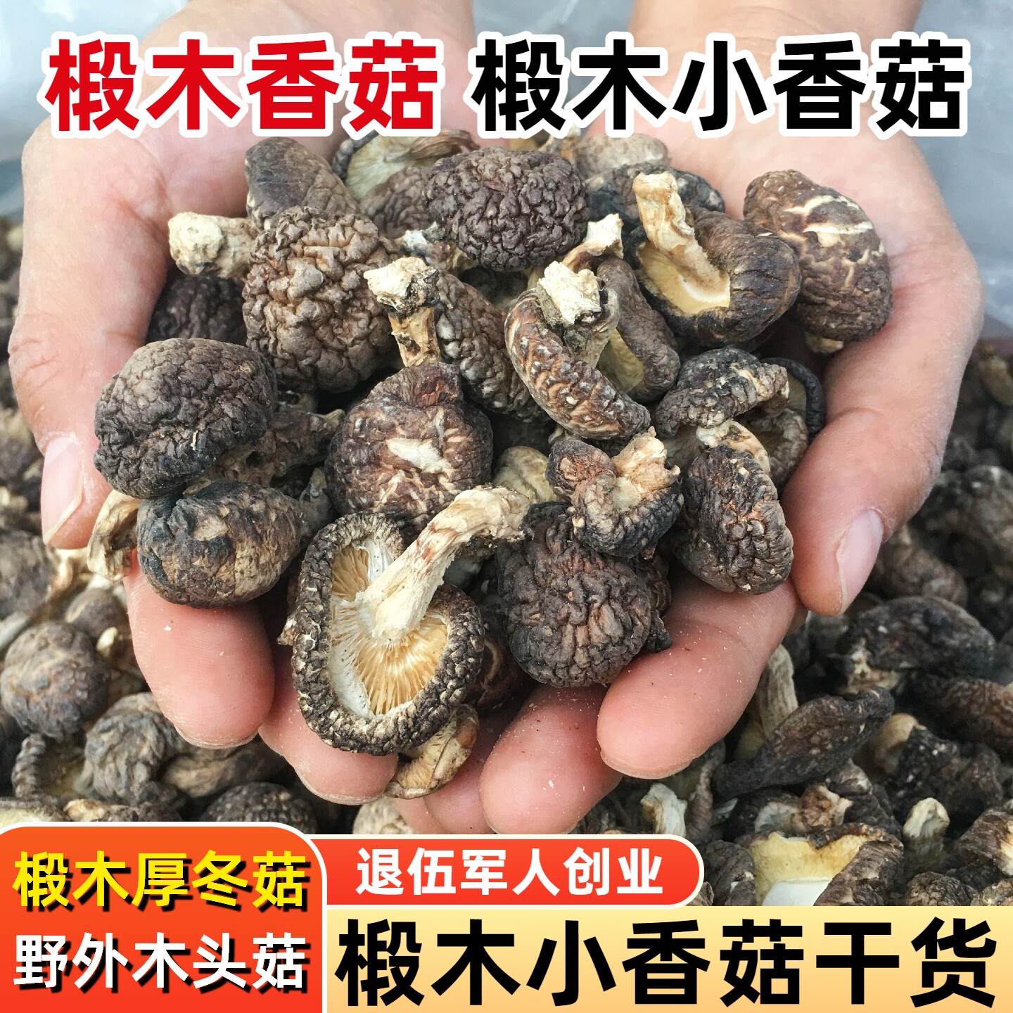 椴木小香菇干货500g野外生长木头香菇湖北农家树菇特小蘑茹厚冬菇