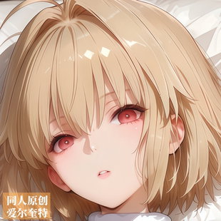 同人原创-等身抱枕芯套定制动漫二次元fgo爱尔奎特周边长条枕头萌