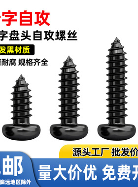 PA镀黑色盘头自攻小螺丝钉圆头十字电子小螺丝M1M1.2M1.4M1.7M1.8