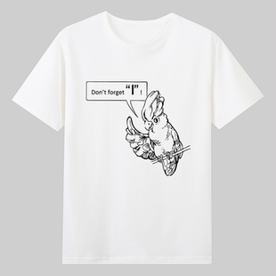 polly鹦鹉80后90后英语教材回忆青春怀旧纯棉短袖T恤男女童装定制