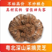 韶关特产粤北韶关紫芝整枝灵芝林芝超厚孢子粉灵芝半野生