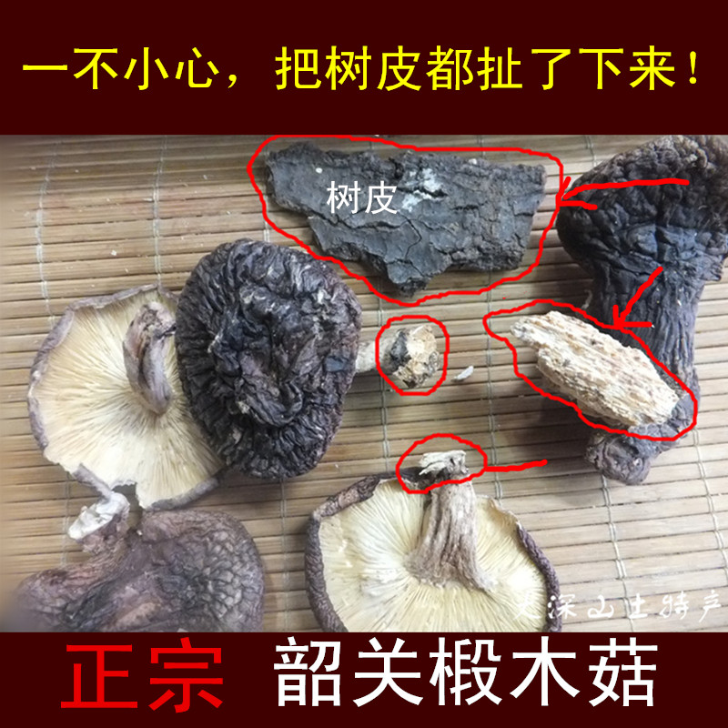 粤北韶关山区特产冬菇椴木香菇