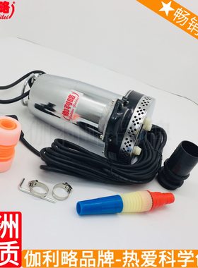 伏的电东莞小吸用的替带的抽自吸二十四水潜电瓶直流车泵 伽贰