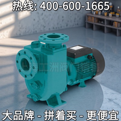 浙江利欧XHSm 自吸排污泵 利欧污水泵