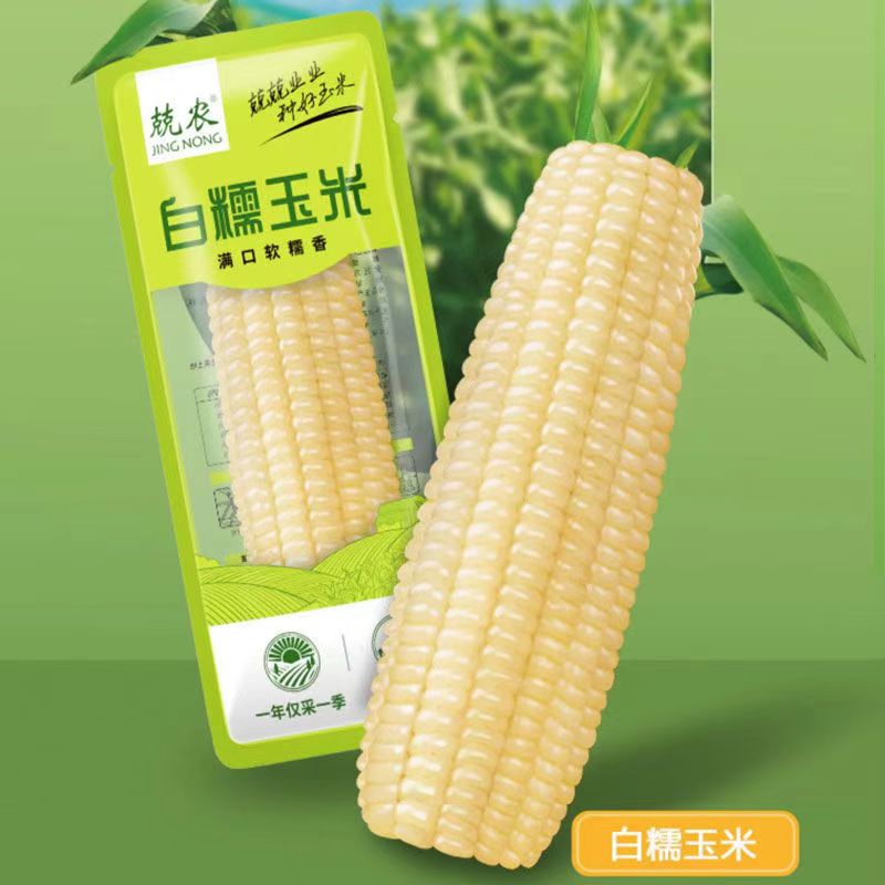 兢农东北黑龙江玉米200g白糯玉米黄糯黑糯玉米甜糯粘玉米早餐代餐