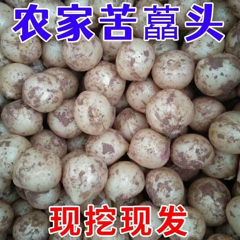 四川农家自种苦藠小根蒜团葱野葱头薤白小蒜头炖汤10斤包邮