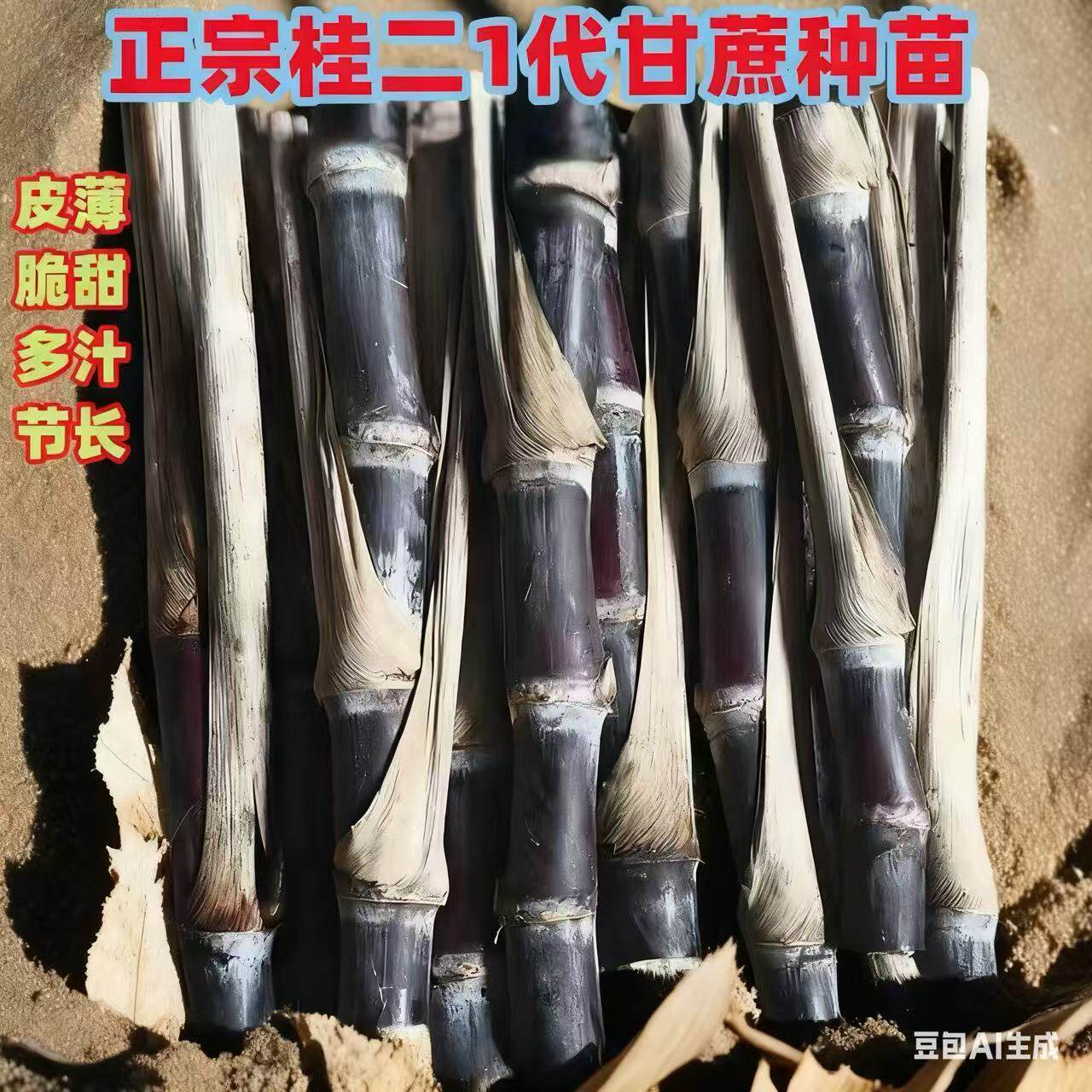 广西黑皮甘蔗苗种子带芽黄金黄皮南北方盆栽水果甜薄皮甘蔗种苗