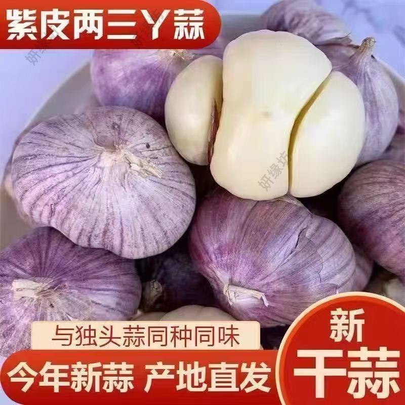 2026紫皮三丫蒜干蒜三瓣丫蒜大蒜新鲜蒜头红皮独头蔬菜批发便宜