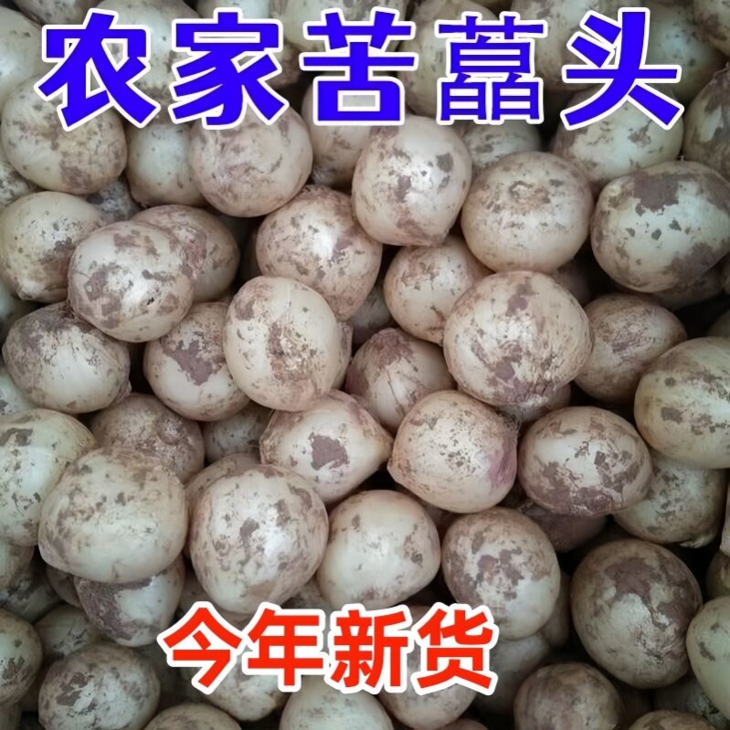 四川新鲜苦藠团蒜小根蒜野葱头苦茭头小洋葱头九母子小蒜薤白