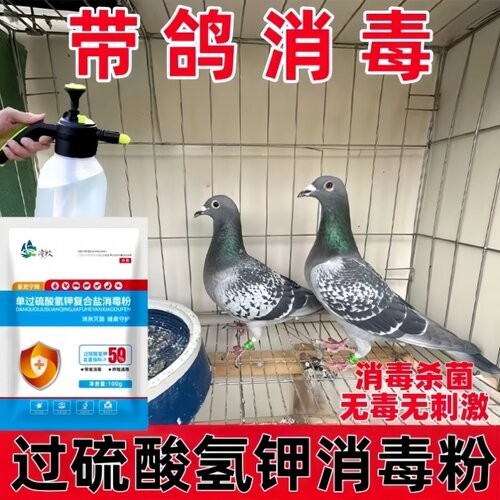 信鸽赛鸽消毒液过硫酸氢钾消毒剂鸽舍鸽棚巢盆杀菌防病毒消毒正品