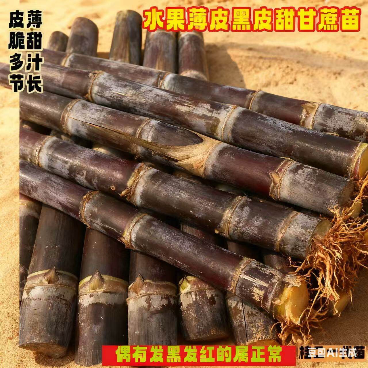 南北方种植广西黑皮黄金甘蔗苗带芽黄皮水果苗盆栽甜薄皮种种苗