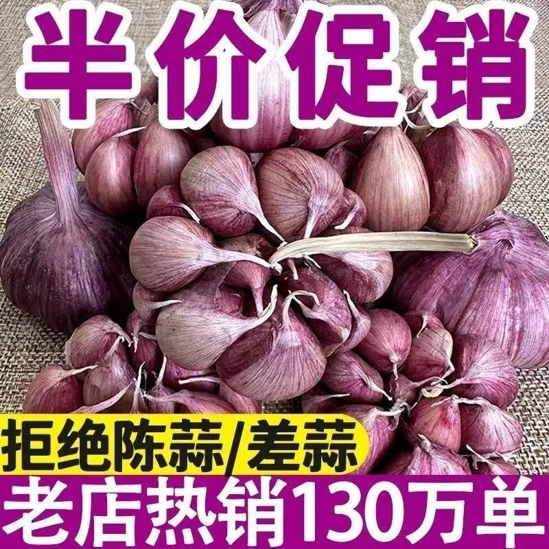 2025正宗云南紫皮大蒜干蒜头5斤红皮多瓣新蒜香蒜农家特产