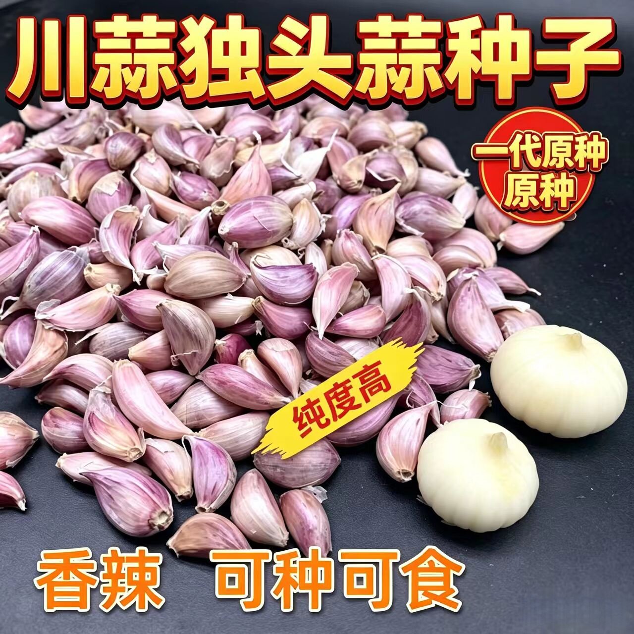 正宗川蒜四川彭县蒜瓣紫皮独蒜农家种植红皮独子蒜独米小蒜瓜子大
