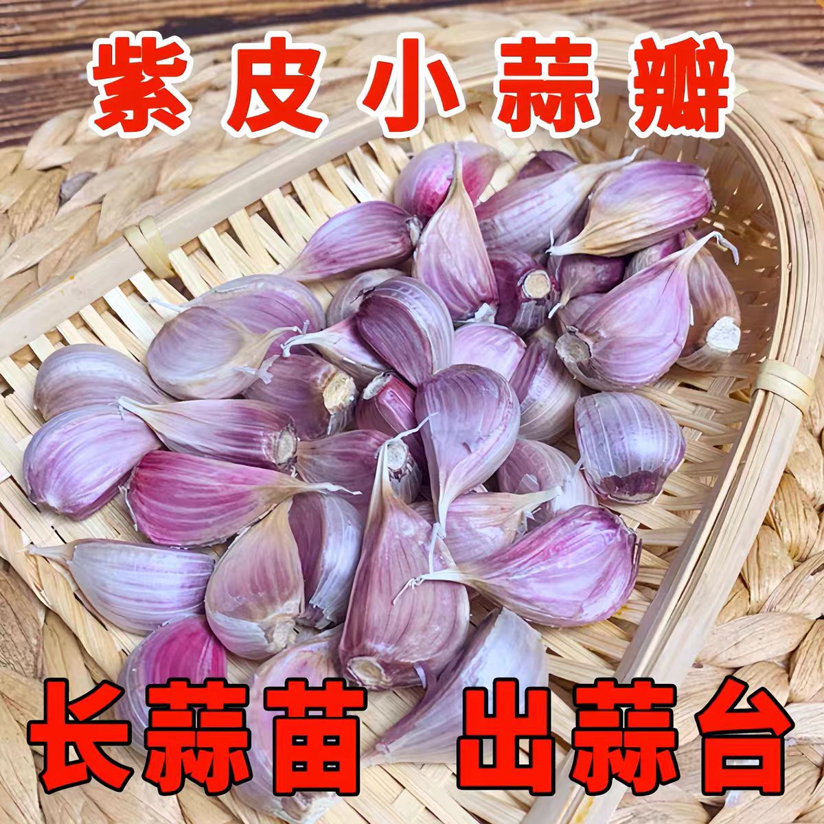 正宗山东农家自种早熟紫皮大蒜新鲜上市红皮香蒜瓣出蒜苔红根蒜苗