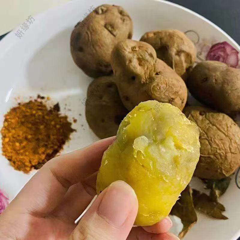昭通老品种云南老干巴洋芋贵州特产憨包土豆奄瘪老土豆腌巴洋芋