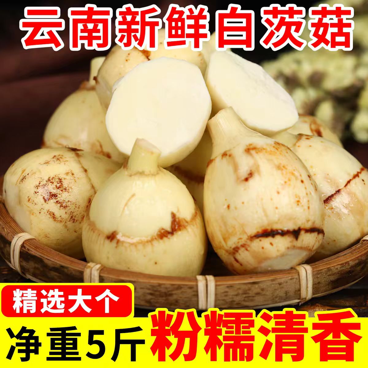 云南农家现挖大个茨菇马蹄荸荠