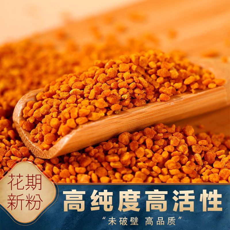 新鲜活性茶花粉纯天然 正品500g 包邮蜂花粉自产未破壁蜂花粉花粉