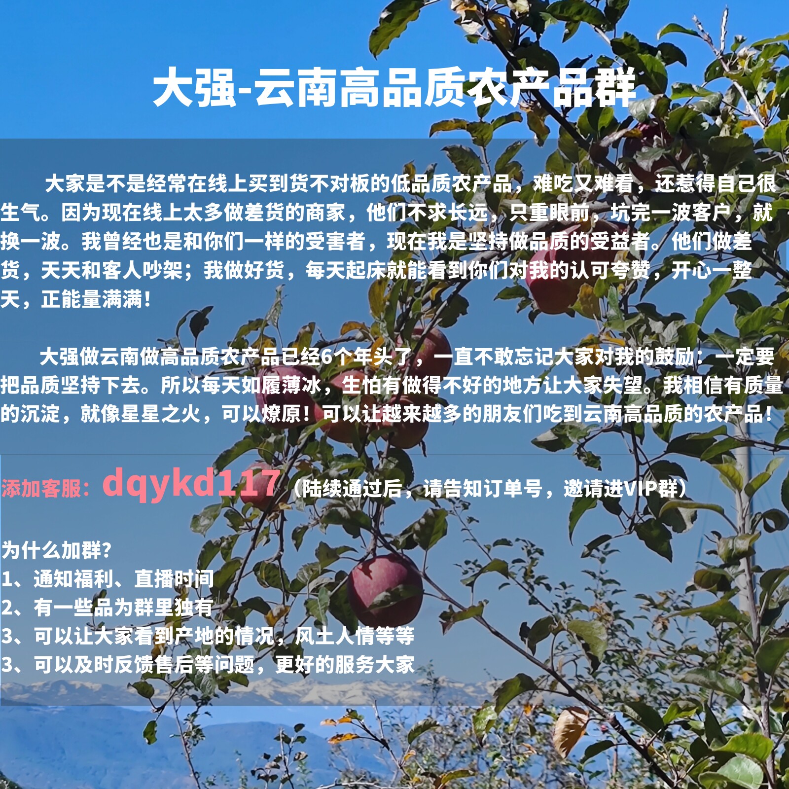 粉丝福利/直播预告/点此链接