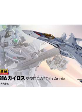 同好会定金 万代 DX超合金 超时空要塞 VF31A 量产 杂兵 10周年