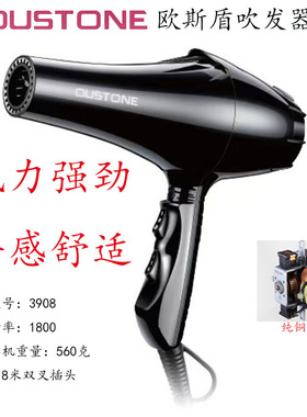 德力斯电吹风交流欧斯盾风筒大风静音快干发廊专业轻量吹发器3908
