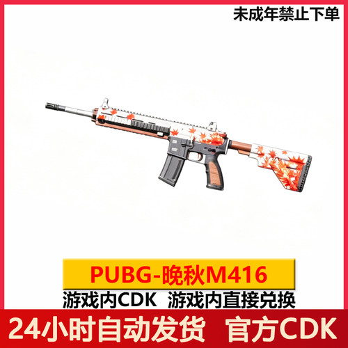 PUBG绝地求生M416枪皮兑换码