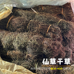 台湾烧仙草干草黑凉粉草粿龟苓膏原料广东仙人草米冻新鲜叶子高胶