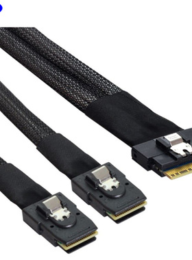 Slimsas SAS SFF-8654 8i 转 2个Minisas SFF 8087 高速线 74Pin