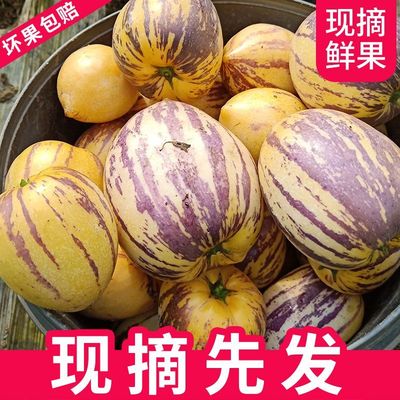 甘肃民勤人参果黄肉熟果