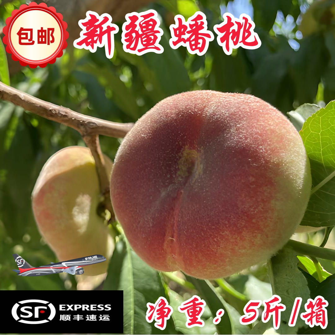 疆石河子蟠桃空运包邮