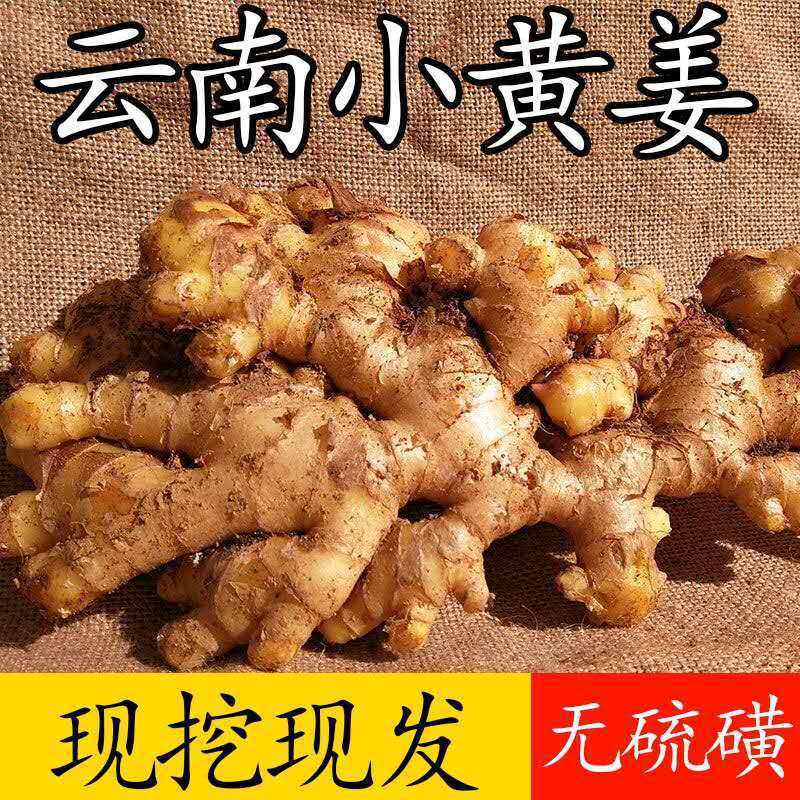 云南小黄姜新鲜生姜现挖现发无硫磺无添加
