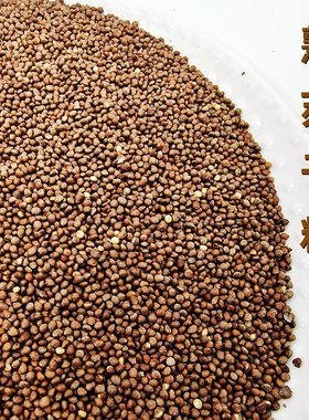 熟苏子粒拌菜佐料甜点馅料延边烧烤料配料韩式烧烤延吉打糕蘸料