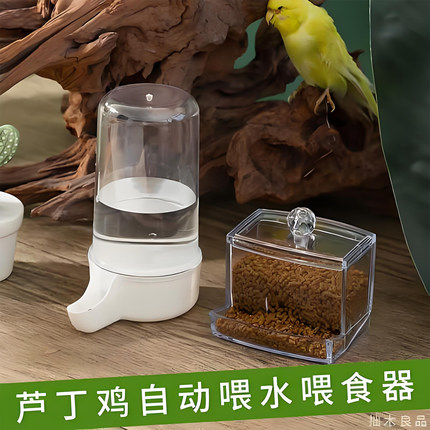 芦丁鸡食盆喂食器喂水器亚克力粮食盒水槽水壶自动饮水器下饲料盒