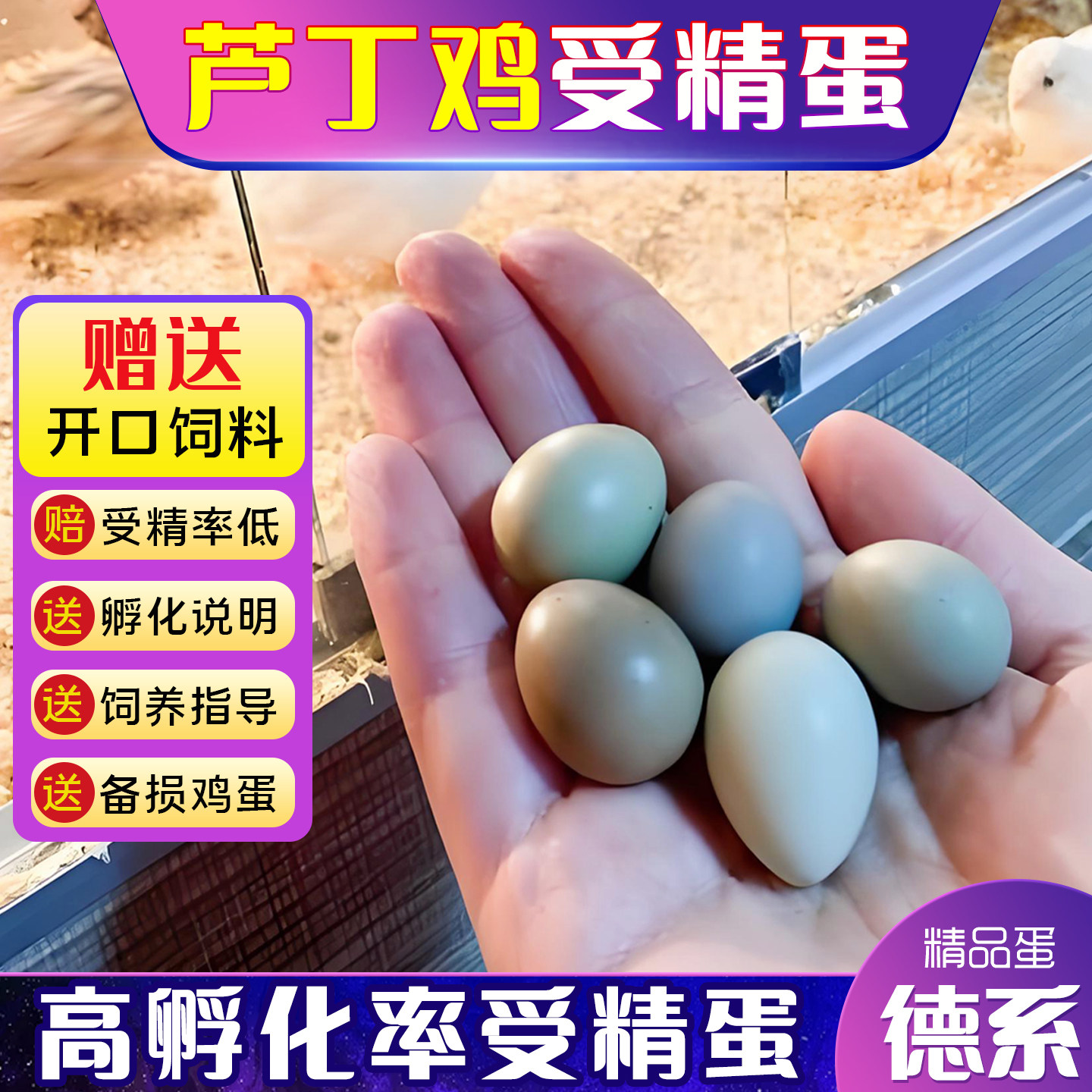 芦丁鸡受精蛋可孵化白色瓦灰鸟蛋卢丁鸡黑白礼服宠物德系网红小鸡,宠物/宠物食品及用品,宠物鸡,淘宝优惠券,粉丝福利购,淘宝优惠卷