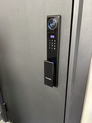 C10精雕指纹锁，3D人脸全自动掌静脉智能锁，小峰管家系统，