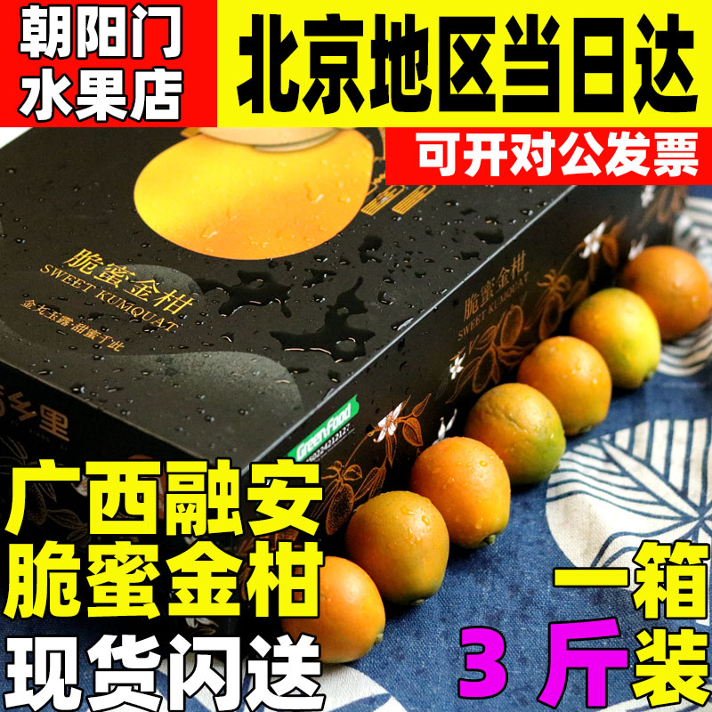 桔乡里广西融安脆蜜金柑大果第三代金桔新鲜纯甜金柑当季顺丰包邮